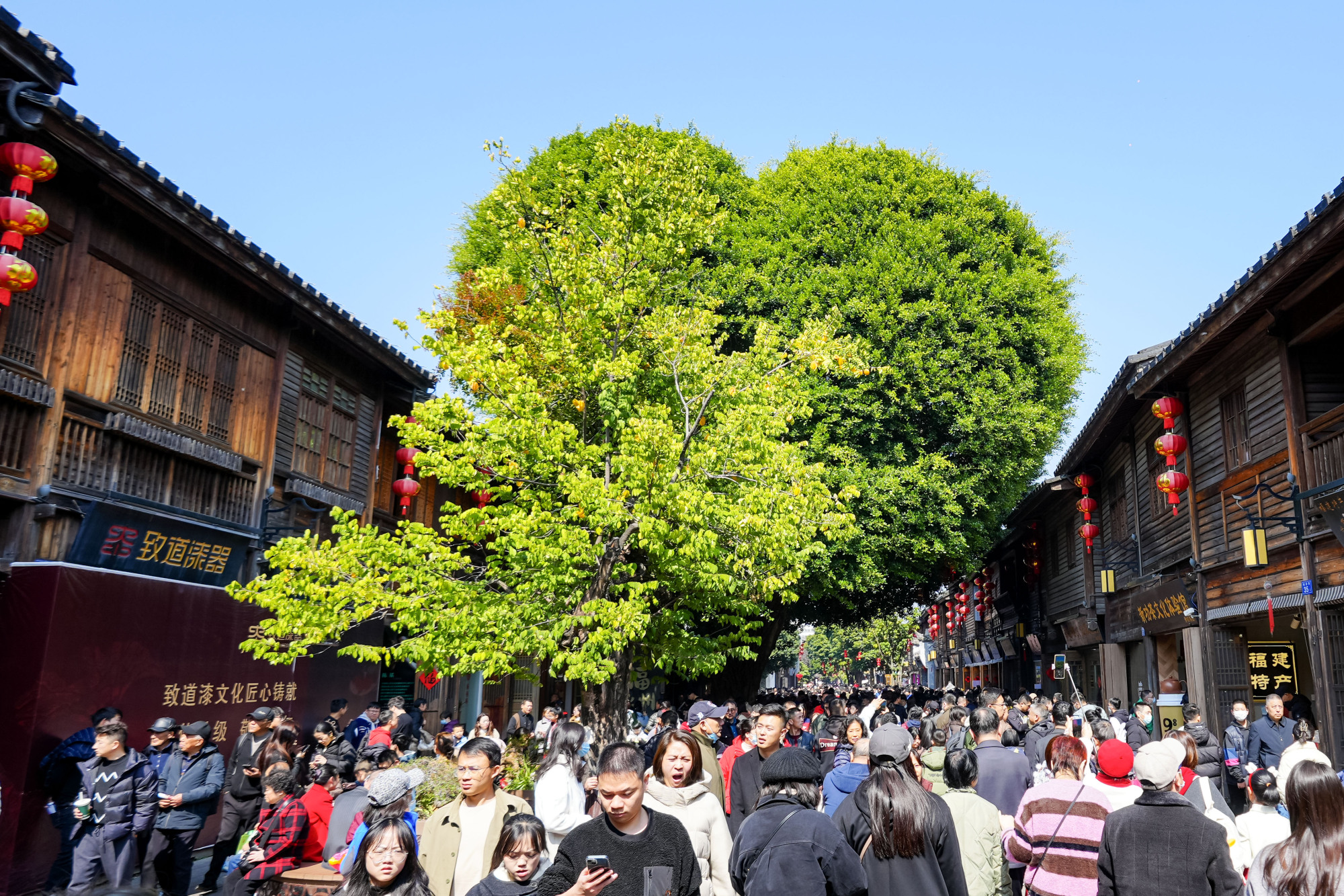 福建“十四五”人社事业交出亮眼答卷：就业稳、社保暖、人才聚、和谐固